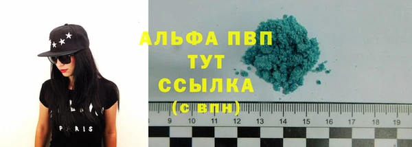 PSILOCYBIN Аркадак