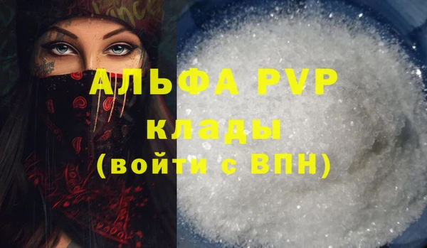 PSILOCYBIN Аркадак